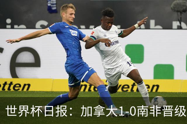 世界杯日报：加拿大1-0南非晋级创历史 韩国主帅洪明甫下课