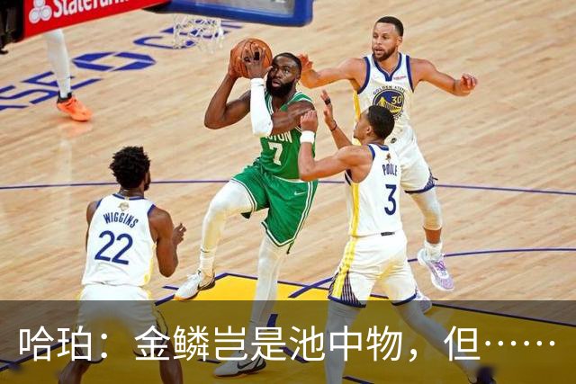 哈珀：金鳞岂是池中物，但……